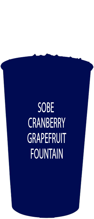 SoBe Lean Cranberry Grapefruit